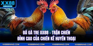 Đá Gà Tre XX88 - Trận Chiến Đỉnh Cao Của Chiến Kê Huyền Thoại