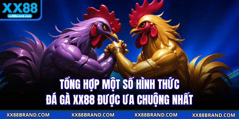 Tổng hợp một số hình thức đá gà XX88 được ưa chuộng nhất